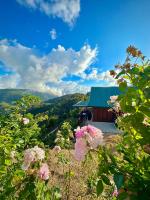 Cabaña Nora - Ferienwohnung Cedral