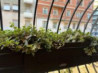 Mercadante Suite Central City - B&B Milano