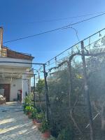 Guest House Arbër - B&B