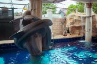 Rising Star Shortlet - B&B Accra