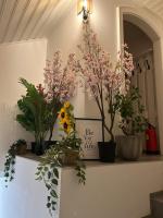 Wohnung in Spittal an der Drau - B&B