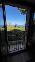 Villa Boccolini Appartamento - Ferienwohnung Sirolo