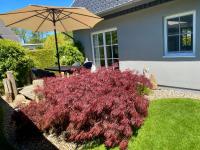 Ferienhaus Buhne 31 - Ferienwohnung Ostseebad Prerow