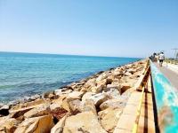 Bungalow near the Salt Lakes of Torrevieja and La Mata and their beaches - Bed and Breakfast Torrelamata