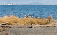 Sq Dungeness Bungalow 273 - B&B Sequim