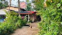 Sigiri Fortress View lodge - B&B