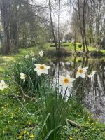 Mon chalet dans le Perche - B&B Charbonnières