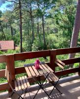 Appartement cosy au calme - Seignosse Les bourdaines - B&B Seignosse