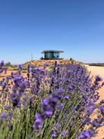 La Casa del Desierto - B&B Gorafe