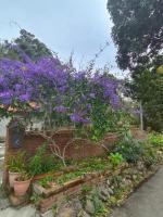 Shi Qian Zai Homestay - Chambres d’hôtes Longtan