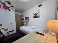 Standard Single Room with Shared Bathroom