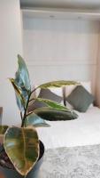 La villa baie du lac les pins - Bed and Breakfast Biscarrosse