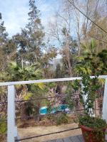Punta Horizonte Cabin - B&B