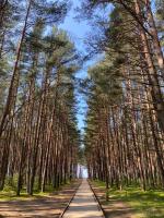 Karkle Seaside Apartments - B&B Karklė