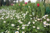 Ottimo punto per visitare la Toscana - Chambres d’hôtes Ponte a Egola