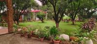 The TreePie Corbett - Bed and Breakfast