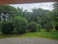 Appartamento con Vista Giardino