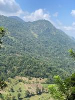 Relax Mountain Guest Inn Badulla - B&B Badulla