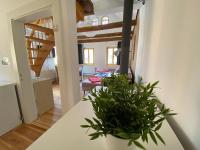 Appartamento con 1 Camera da Letto