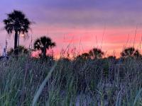 Ocean Lakes 4 bedroom Cottage that sleeps 10 - B&B Myrtle Beach