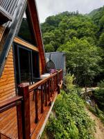 AsvaVilla şelale evleri - B&B Rize