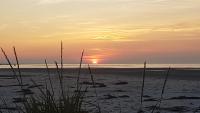 Bønnerup Strand - B&B