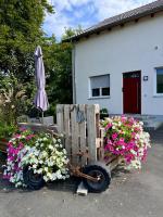 Ferienwohnungen Frank - B&B Segnitz