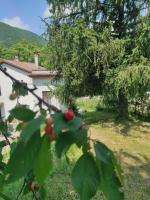 Fornace di Montechiaro - B&B Rivergaro
