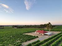 McGill Vineyard Barossa - B&B Ladys Pass