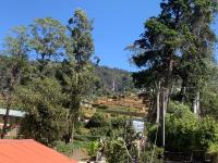 Nuwara Eliya 2020 Wooden Cabin - B&B