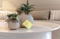 Ocean-Breeze-1 - Chambres d’hôtes Wenningstedt