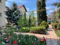 Vila Negru - Bed and Breakfast Costineşti