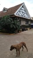 Chez Joep - Apartm with patio and terrace - 8min from UN - B&B Nairobi