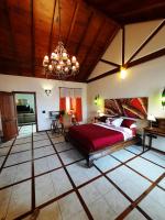 Raíz Drago - B&B Icod de los Vinos