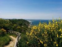 Agriturismo Ca' Verde - il giardino narrante - B&B Fiorenzuola di Focara