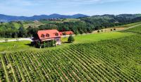 Rooms Bolfan Vinski Vrh - B&B