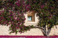 Tavira Convent, 2-bedroom, condo, pool - B&B Tavira