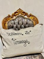La Teranga - B&B