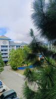 D Affordable Pine Suites Tagaytay Staycation - B&B Tagaytay