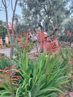 Iliopetra - Bed and Breakfast Agios Nikolaos