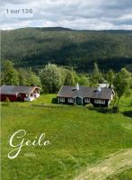Geilo, two cabins, silence, nature, skiing and summer sports - B&B Geilo