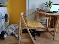 Lovely Studio with a Balcony - Ferienwohnung Sinemorets