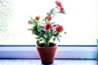 Comfy Home-Vimy Road - B&B Birmingham