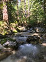 Cozy Private Cabin in the heart of Triglav National Park - B&B