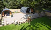 little peru luxury pods and alpaca farm - Ferienwohnung