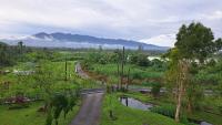 Green Forest Homestay - B&B