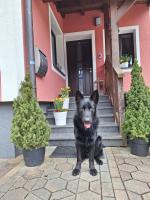 Haus Höll Herta - B&B Hallstatt