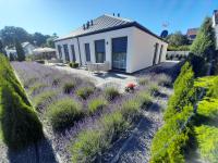 Wisełka Apartamenty Sea & Lake - B&B Wisełka