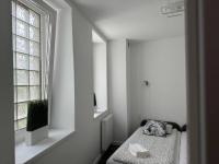 Deluxe One-Bedroom Apartment