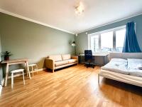 Appartamento Monolocale con 1 Letto Matrimoniale